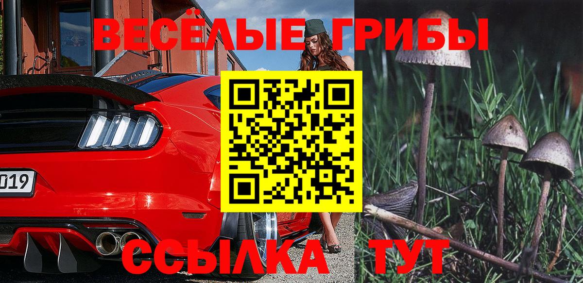 Галлюциногенные грибы Psilocybine cubensis  Вход с VPN  Псилоцибиновые грибы Magic Shrooms  закладки  Азнакаево 